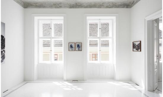 vecchia-casa-in-vienna-a-designer-dr-arch-kiskan-andre