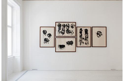 vecchia-casa-in-vienna-a-designer-dr-arch-kiskan-andre