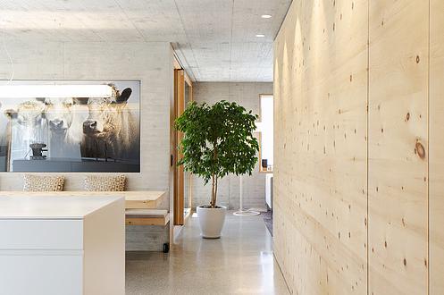 mehrfamilienhaus-f-in-chur-ch-projektverfasser-fanzun-ag-architekten-ingenieure-berater-stiegenhaus-in-bianco-verona-wohnung-geschliffener-sand